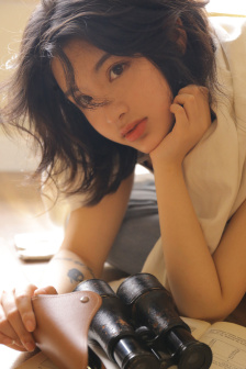 疯狂的蠢贼